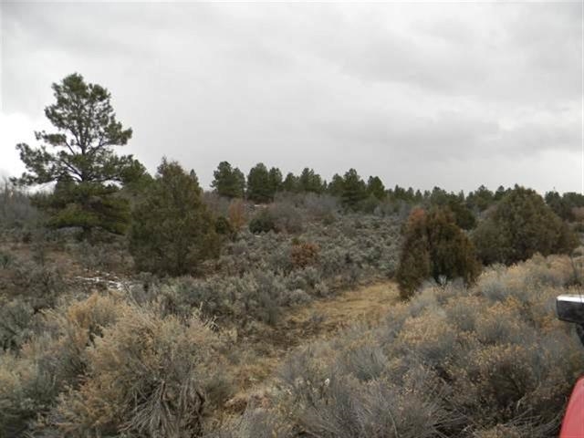 Lot 10, Tract 1, Ensenada, NM 87575
