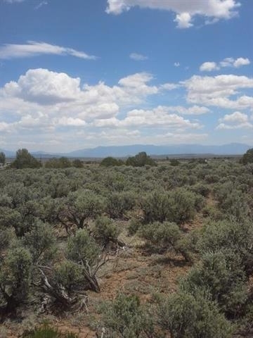 On Sierra Vista Drive, Tres Piedras, NM 87577