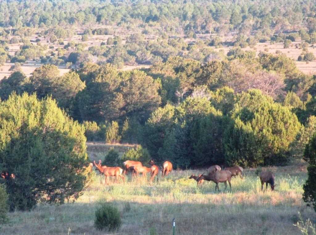 241 CR A20, Las Vegas, NM 87701