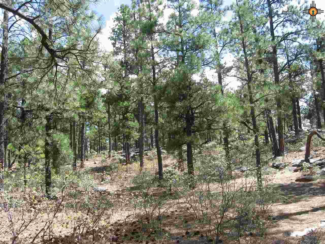 5.15 Twin Ponds Rd, Las Vegas, NM 87701
