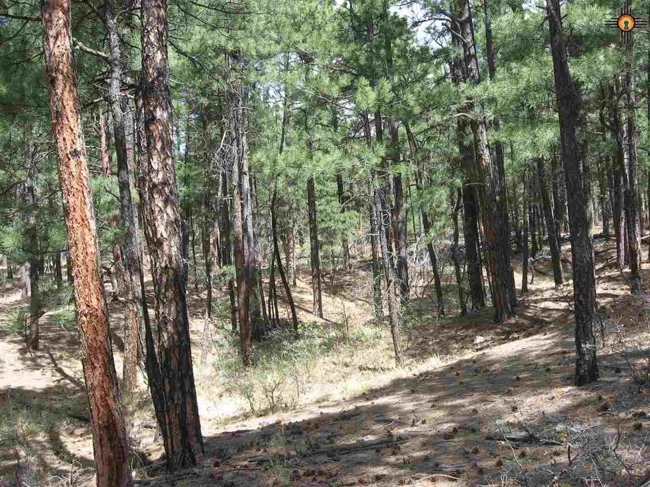 5.15 Twin Ponds Rd, Las Vegas, NM 87701