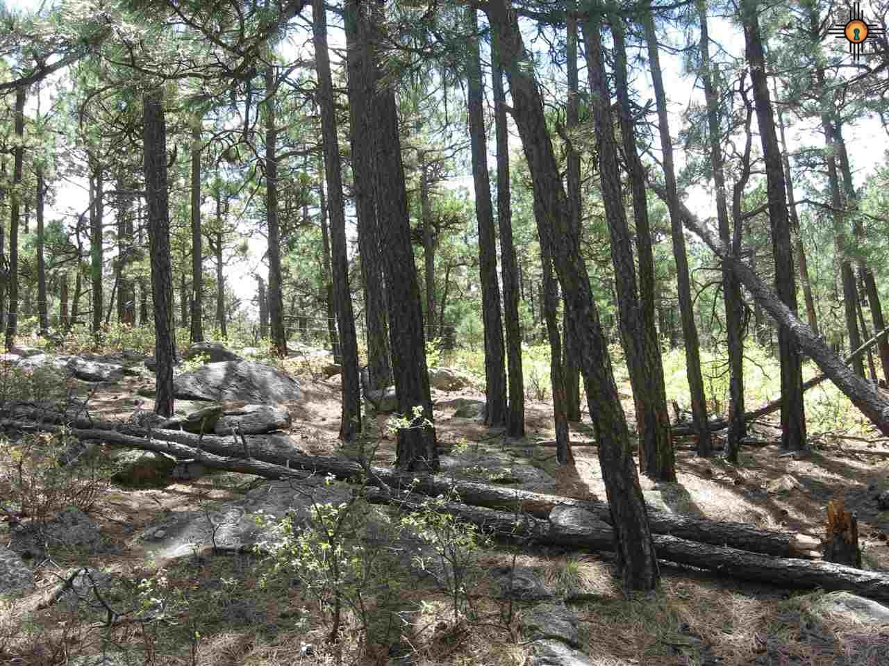 5.15 Twin Ponds Rd, Las Vegas, NM 87701