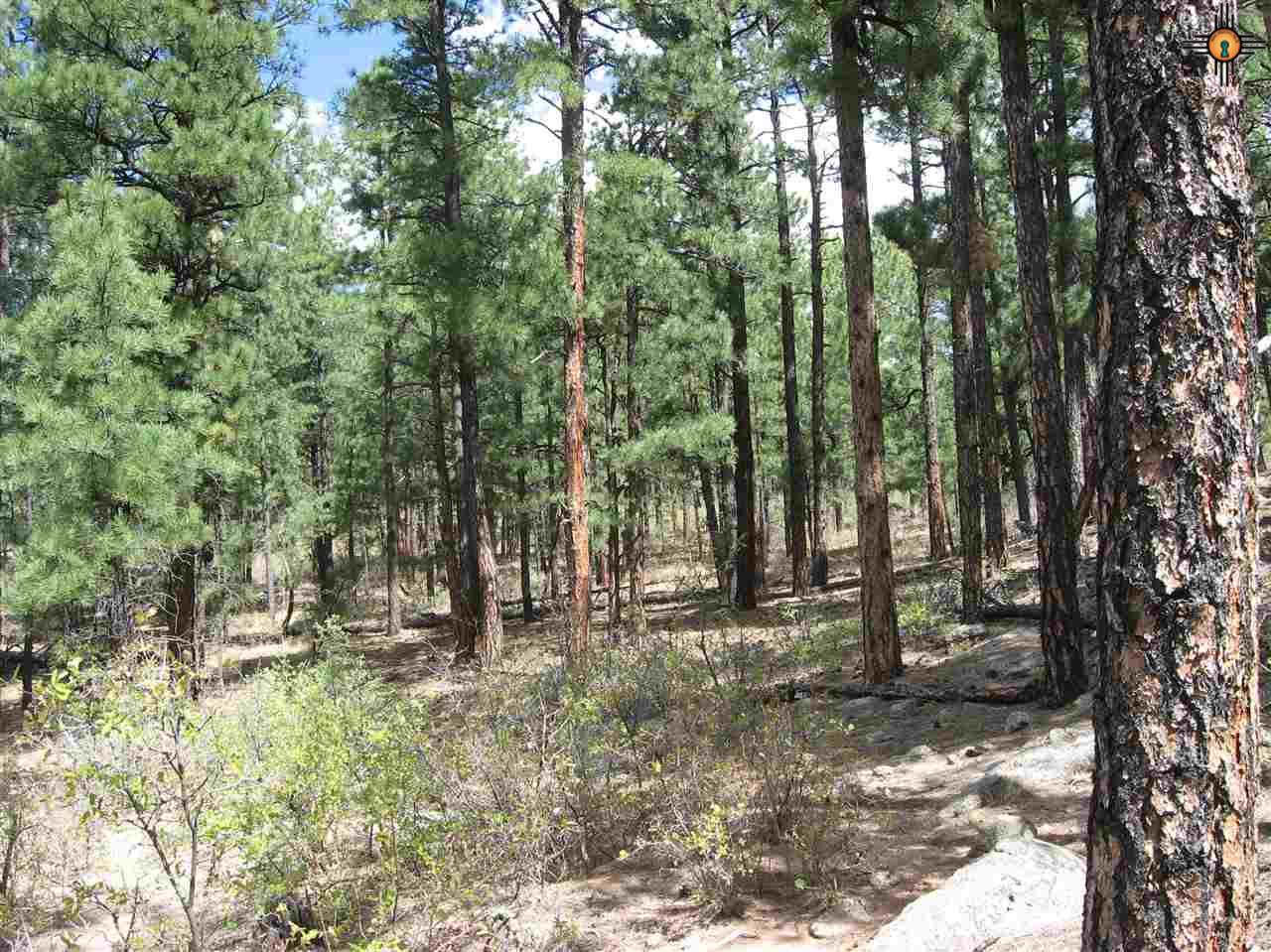 5.15 Twin Ponds Rd, Las Vegas, NM 87701