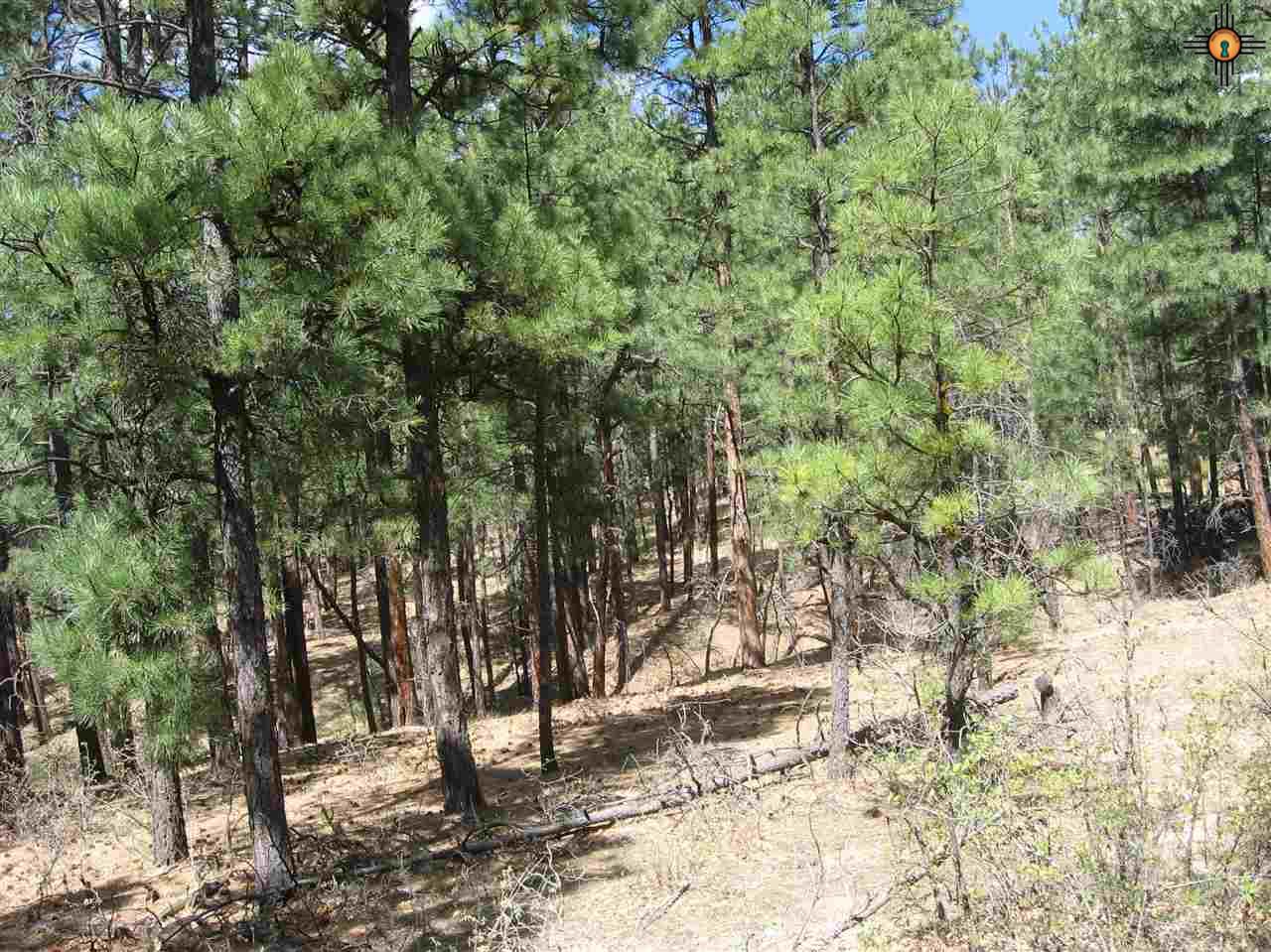 5.15 Twin Ponds Rd, Las Vegas, NM 87701