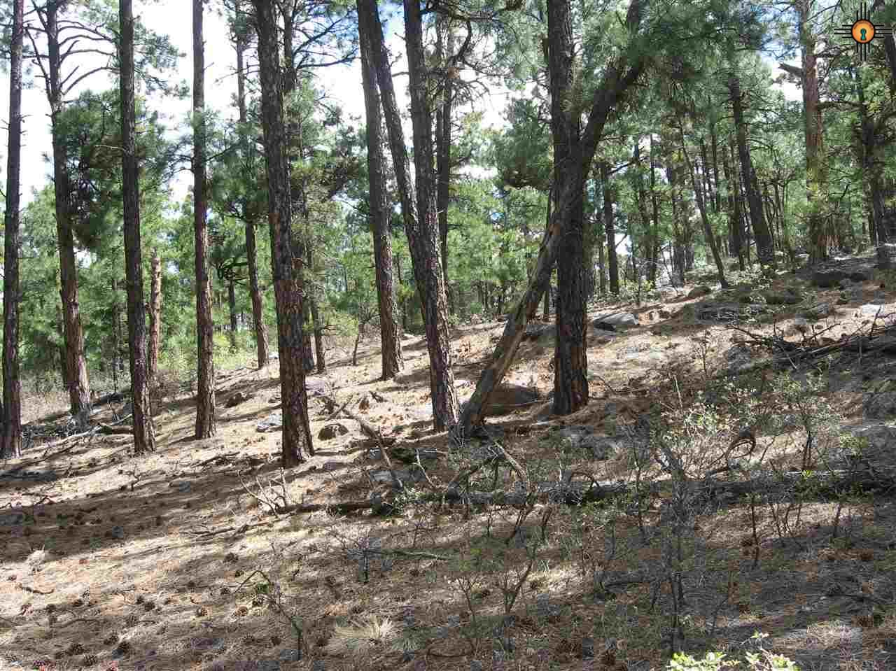 5.15 Twin Ponds Rd, Las Vegas, NM 87701