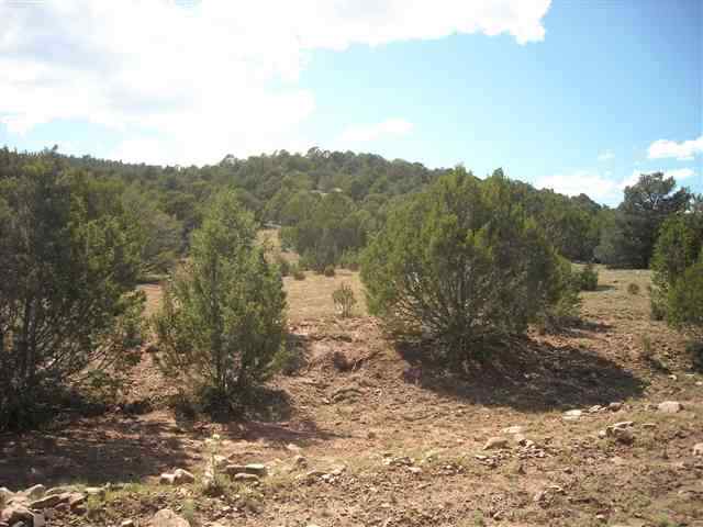 16+/-ac Near Sheridan, Las Vegas, NM 87701