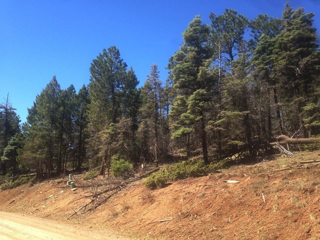 352 S Vail Ave, Angel Fire, NM 87710