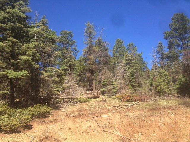 352 S Vail Ave, Angel Fire, NM 87710