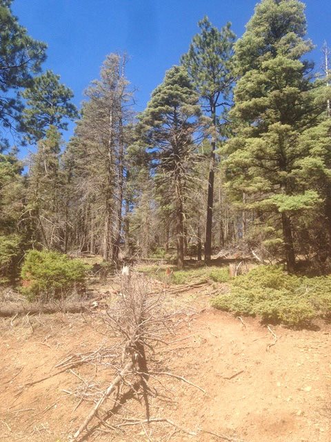352 S Vail Ave, Angel Fire, NM 87710