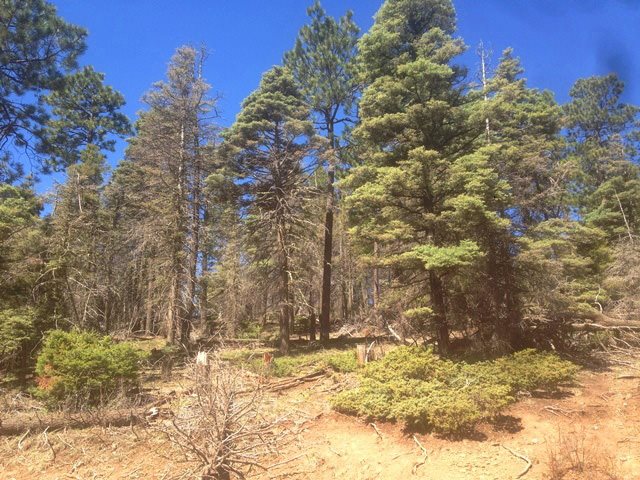 352 S Vail Ave, Angel Fire, NM 87710