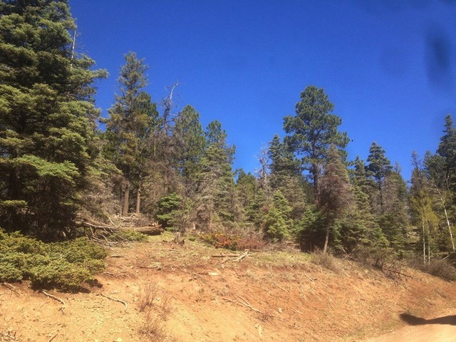 352 S Vail Ave, Angel Fire, NM 87710