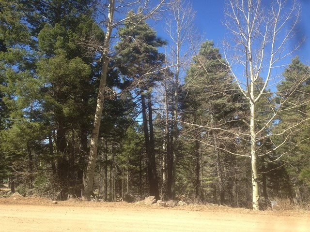 1450 Cheerful Way, Angel Fire, NM 87710