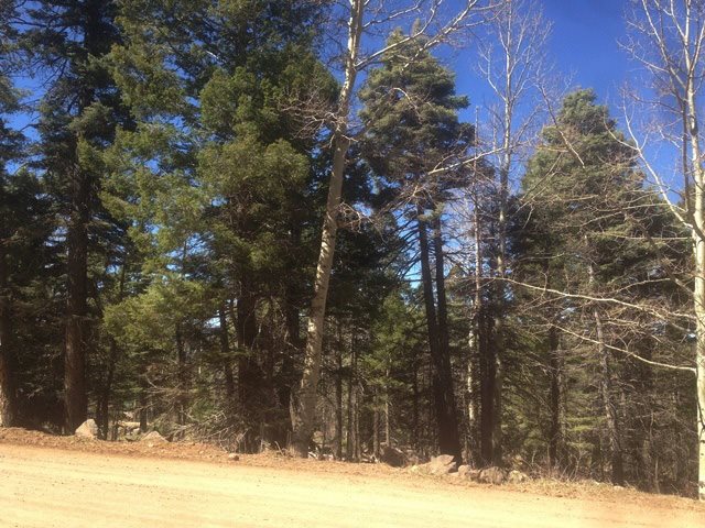 1450 Cheerful Way, Angel Fire, NM 87710