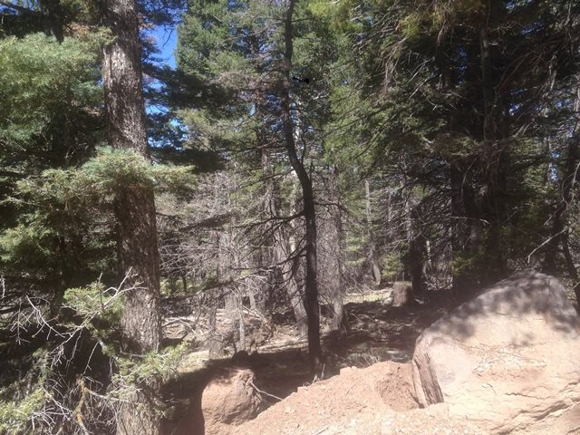 1450 Cheerful Way, Angel Fire, NM 87710