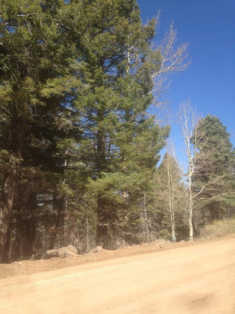1450 Cheerful Way, Angel Fire, NM 87710