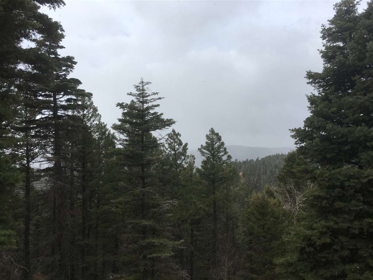 568 El Camino Real, Angel Fire, NM 87710