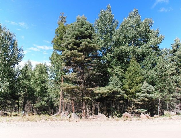 1454 Cheerful Way, Angel Fire, NM 87710