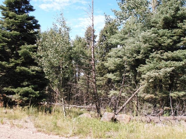1454 Cheerful Way, Angel Fire, NM 87710
