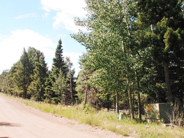 1454 Cheerful Way, Angel Fire, NM 87710