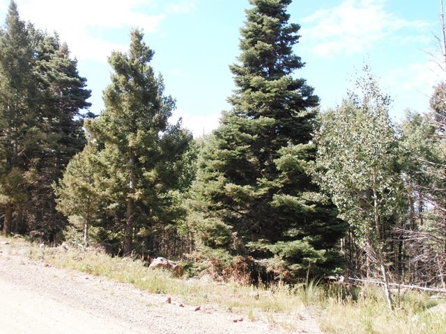 1454 Cheerful Way, Angel Fire, NM 87710