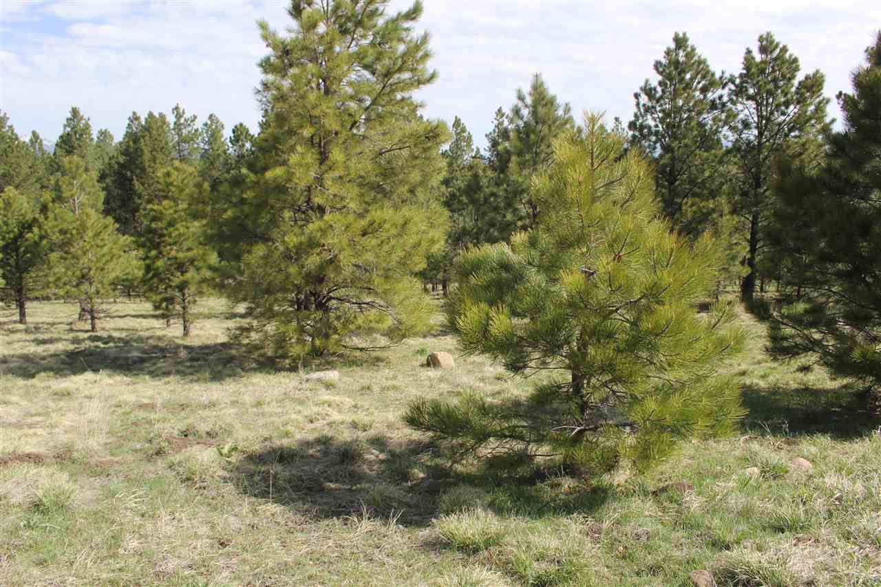 TBD oakwood, Angel Fire, NM 87710