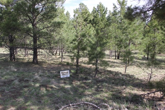 TBD oakwood, Angel Fire, NM 87710