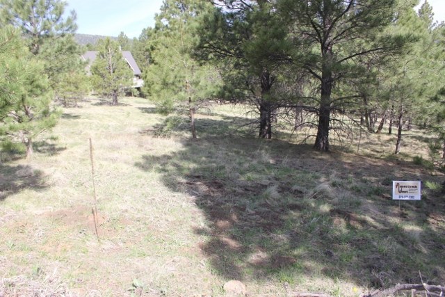TBD oakwood, Angel Fire, NM 87710