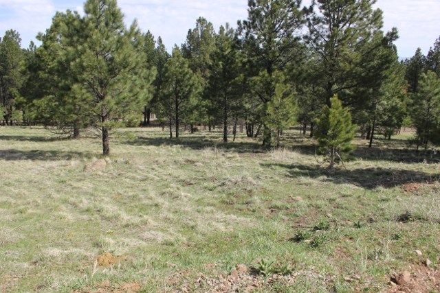 TBD oakwood, Angel Fire, NM 87710
