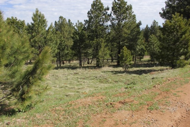 TBD oakwood, Angel Fire, NM 87710