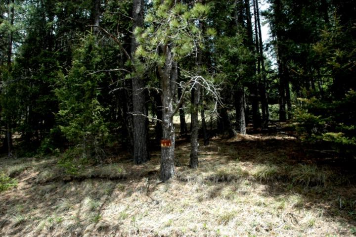 Lot 6, Blk C Sarazen Terrace, Angel Fire, NM 87710