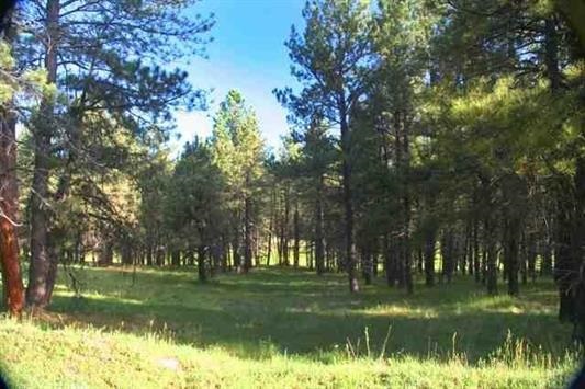 1323 Brazos Drive, Angel Fire, NM 87710