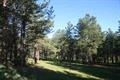 1323 Brazos Drive, Angel Fire, NM 87710