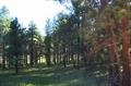 1323 Brazos Drive, Angel Fire, NM 87710