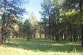 1323 Brazos Drive, Angel Fire, NM 87710