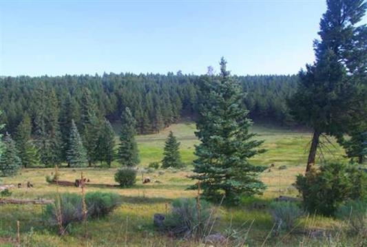 1329 Brazos, Angel Fire, NM 87710