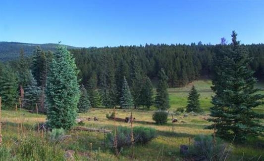 1329 Brazos, Angel Fire, NM 87710