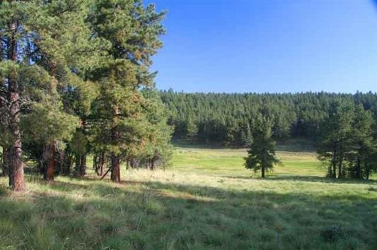 1329 Brazos, Angel Fire, NM 87710