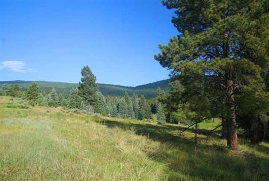 1329 Brazos, Angel Fire, NM 87710