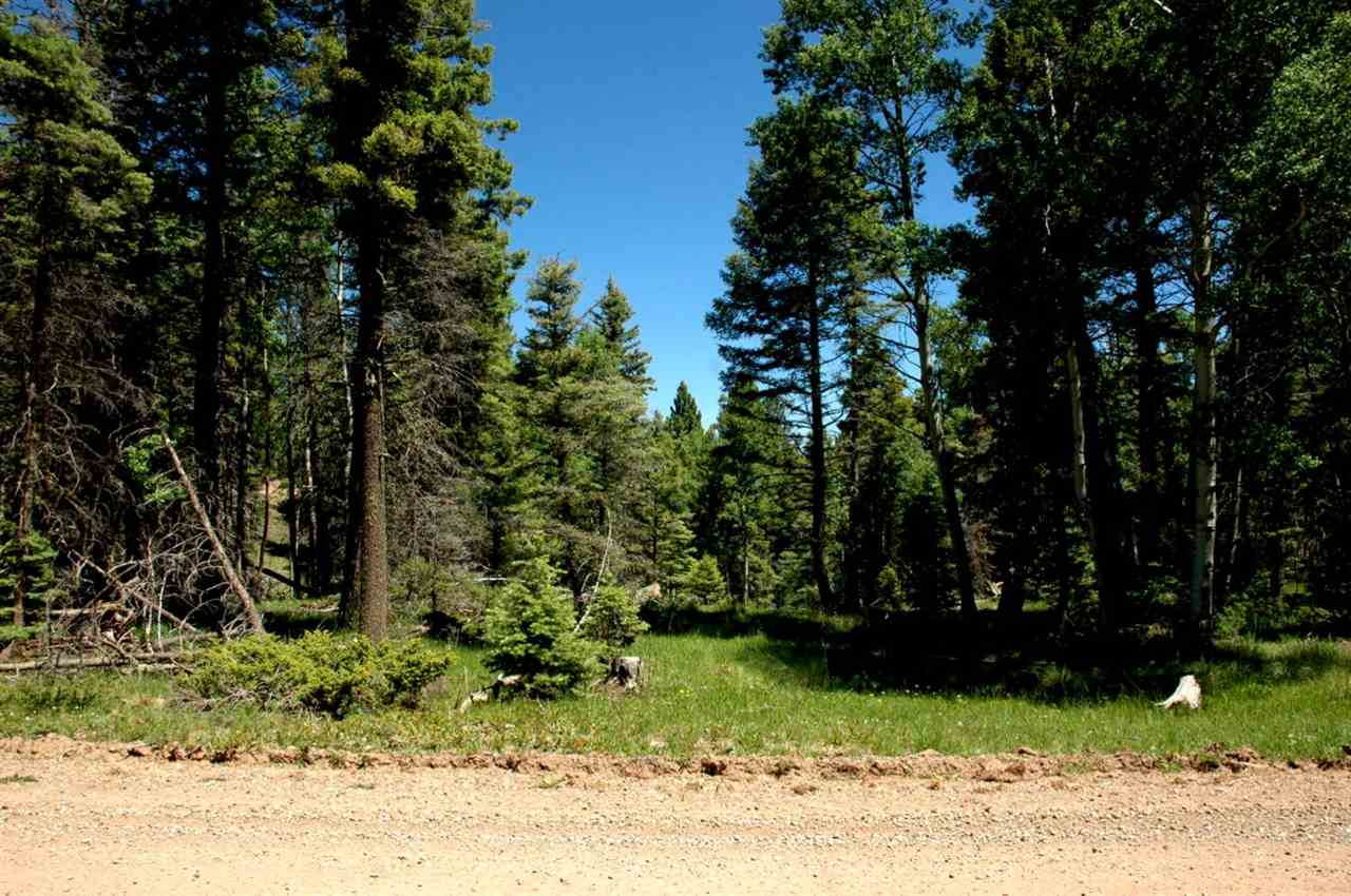 Lot 363 Vail Loop, Angel Fire, NM 87710