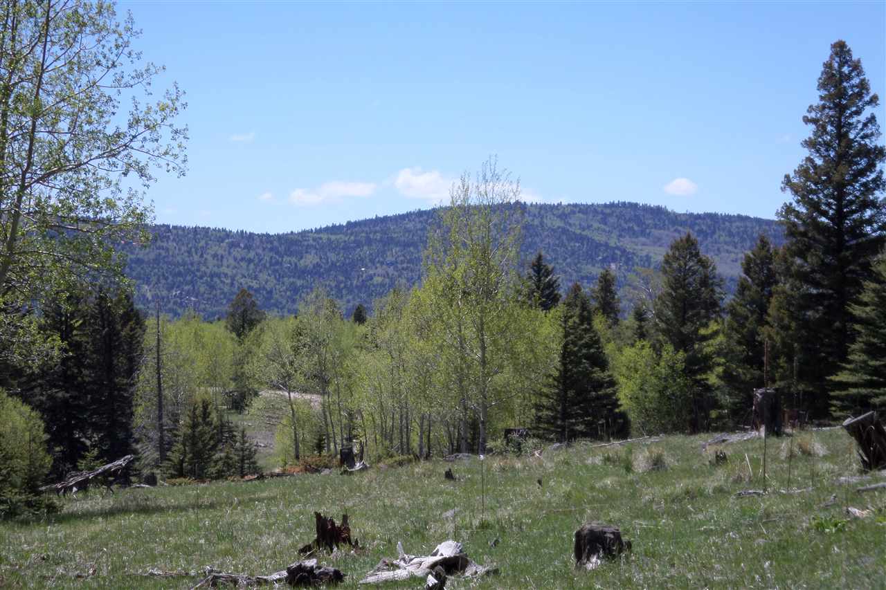 1018 El Camino Real, Angel Fire, NM 87710