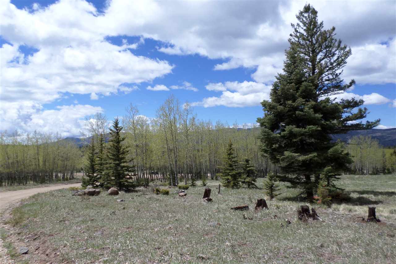 1018 El Camino Real, Angel Fire, NM 87710