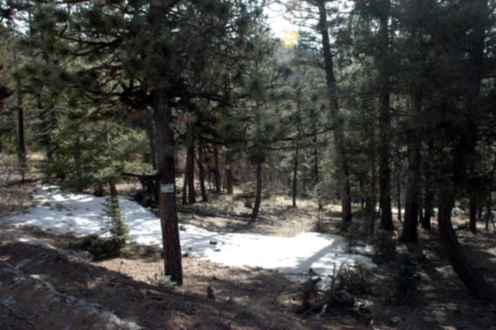 Lot 285, Ch 2CA Vail Loop South, Angel Fire, NM 87710