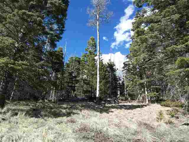 1298 A Pleasant Valley Overlook, Angel Fire, NM 87710