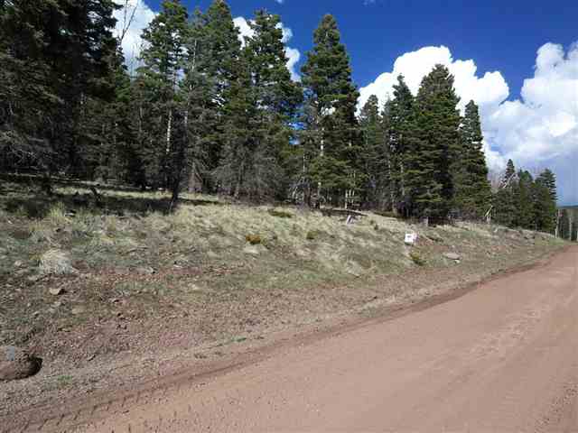 1298 A Pleasant Valley Overlook, Angel Fire, NM 87710