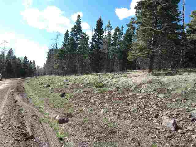 1298 A Pleasant Valley Overlook, Angel Fire, NM 87710