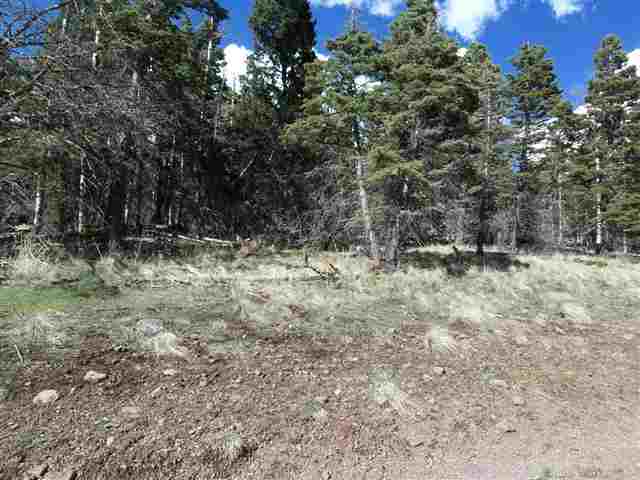 1298 A Pleasant Valley Overlook, Angel Fire, NM 87710
