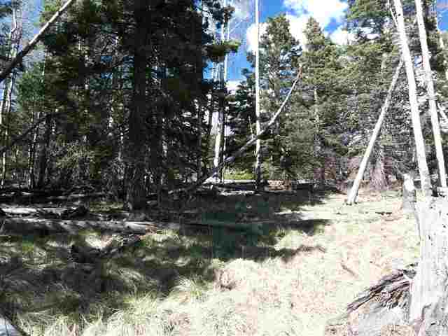 1298 A Pleasant Valley Overlook, Angel Fire, NM 87710