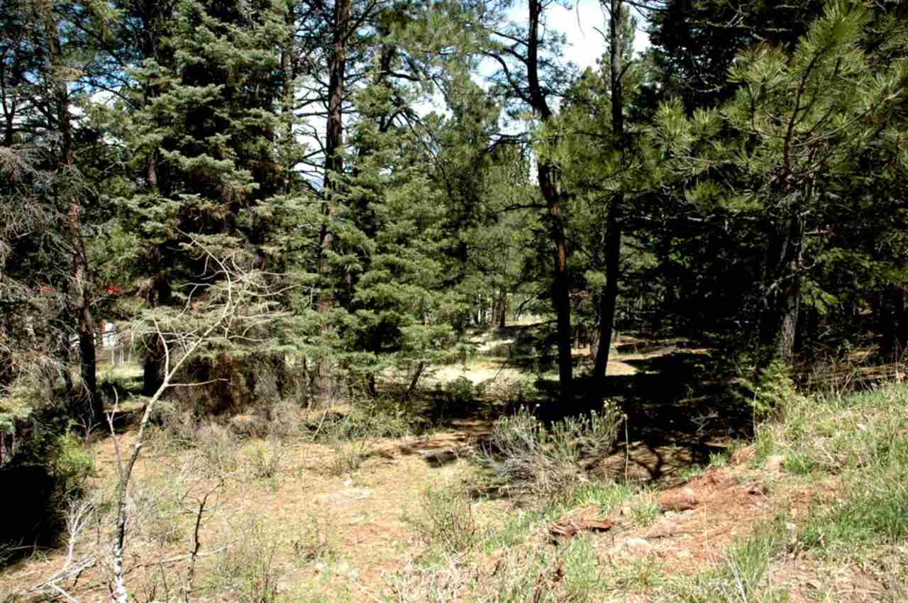 Lot 73 Mammouth Mountain Road, Angel Fire, NM 87710
