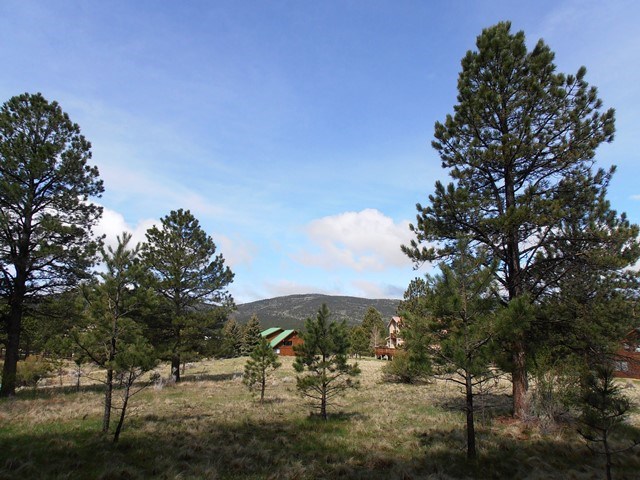 Lot 8 Blk A Vail Ave, Angel Fire, NM 87710