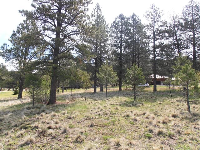 Lot 8 Blk A Vail Ave, Angel Fire, NM 87710